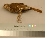 Click for more details.